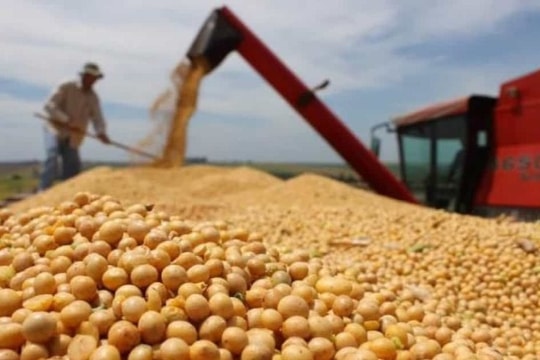 Nhiều nông sản Mỹ nhập khẩu về Việt Nam thông qua loạt thoả thuận 3 tỉ USD