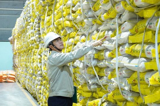 5 tháng đầu năm 2025, PVFCCo - Phú Mỹ hoàn thành các chỉ tiêu sản xuất kinh doanh