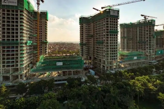 Coteccons (CTD) tiếp đà hồi phục