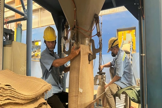 Gia Lai tìm “trợ lực” cho ngành công nghiệp chế biến