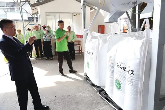 Tương lai gạo phát thải thấp