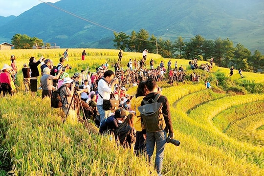 Báo chí đồng hành cùng doanh nghiệp phát triển du lịch sinh thái