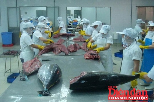 Xuất khẩu thủy sản vào kỳ “thử lửa” mới