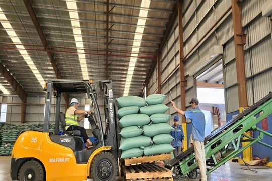 Gia Lai làm gì để cải thiện Chỉ số PCI?