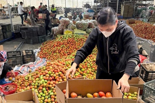 Chiến lược phát triển bền vững của Hải Dương