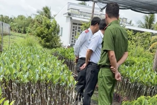 Cây đúng giống, vẫn “dính đòn” vì thiếu... “chứng chỉ ghép cây”