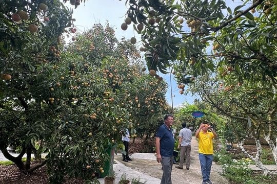 “Biến” lợi thế nông thôn và làng nghề thành sản phẩm du lịch