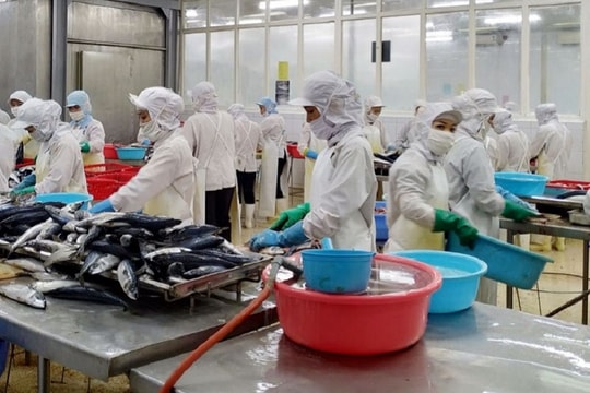 Tận dụng hiệu quả EVFTA để tăng cường hội nhập kinh tế quốc tế