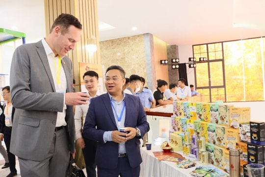 Bình Phước: Quyết liệt cải thiện môi trường đầu tư, nâng cao năng lực cạnh tranh