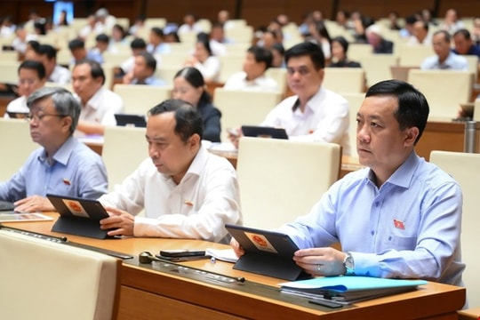 3 lý do khiến hộ kinh doanh chưa muốn lên doanh nghiệp