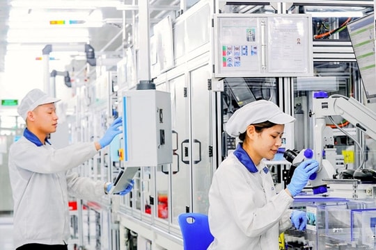 Chú trọng cải thiện chỉ số xanh cấp tỉnh