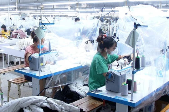 Phát triển cụm công nghiệp hướng đến phát triển kinh tế bền vững