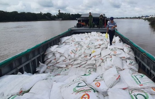 Đường nhập lậu – “vết rạn” khó lành của ngành mía Việt