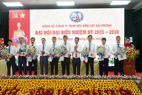 Công ty TNHH MTV Điện lực Hải Phòng: Đại hội Đảng bộ - vì một ngành điện phát triển, vì một Hải Phòng tỏa sáng tương lai