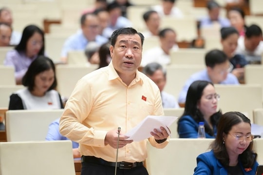 Cân nhắc phạm vi áp dụng cơ chế xử lý khó khăn, vướng mắc do quy định của pháp luật