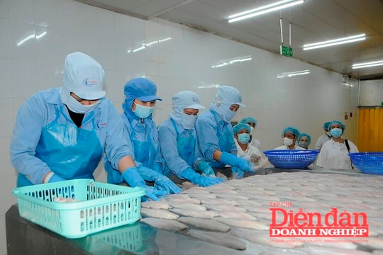 Xuất khẩu thủy sản tăng trưởng ấn tượng, Vasep kiến nghị Chính phủ bảo vệ