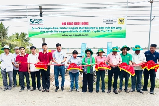 Lan tỏa mô hình lúa bền vững của Bình Điền tại ĐBSCL