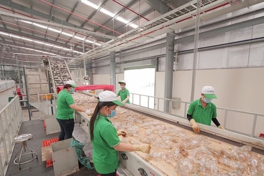 Huy động các doanh nghiệp tham gia hệ sinh thái giảm rác thải nhựa