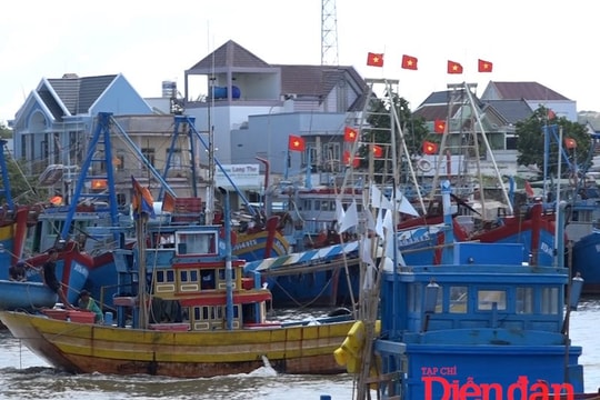 Bình Thuận: Chủ động phòng, chống khai thác IUU trong quá trình sắp xếp chính quyền 2 cấp