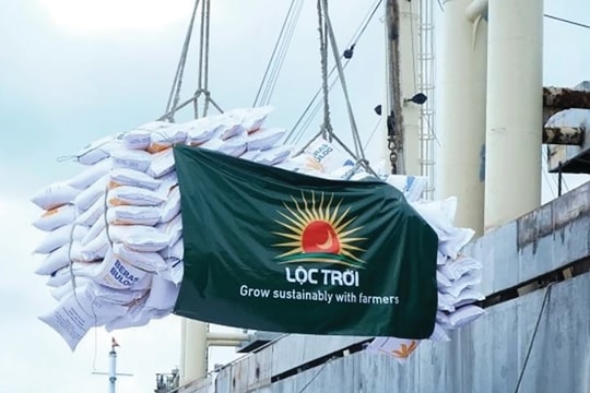 Lộc Trời (LTG) chật vật tìm lối thoát