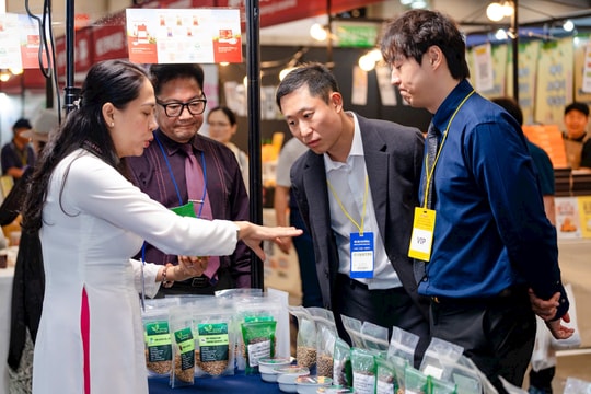 Cà phê Robusta Việt Nam gây bất ngờ tại Triển lãm Busan Coffee Show 2025