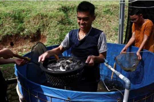 Hướng đi mới cho phát triển bền vững ở Đông Nam Á