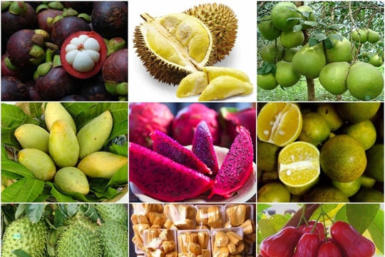 Thuận lợi và thách thức cho nông sản Việt xuất sang Mỹ