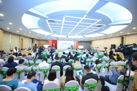 Sức bật trong biến động