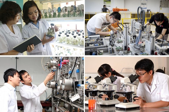 Luật Khoa học Công nghệ và Đổi mới sáng tạo: Thúc đẩy chuyển giao công nghệ