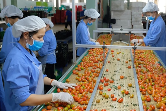 “Khoán tăng trưởng” GRDP