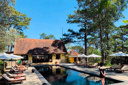 Ngành du lịch phục hồi mạnh mẽ: Cơ hội cho các nhà đầu tư