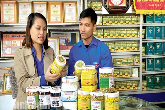 Ninh Bình: Bứt phá kinh tế số sau sáp nhập