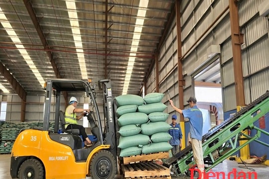 Gia Lai tăng cường quỹ đất công nghiệp để thu hút đầu tư