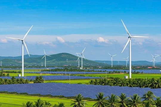 Nhà đầu tư điện tái tạo đứng trước nguy cơ mất trắng vốn sở hữu