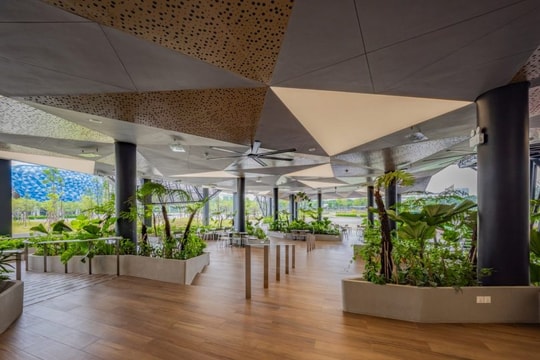 “Xanh hóa” đại học: Tại sao nhiều trường vẫn ngại bước chân vào công cuộc chuyển đổi tốn kém?