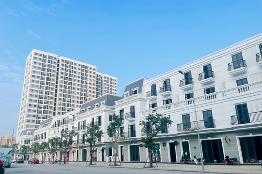 Lực hút kéo nhà đầu tư đổ về trung tâm Thành Vinh