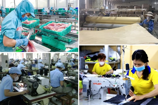 Sức mạnh nội tại - động lực cho tăng trưởng bền vững