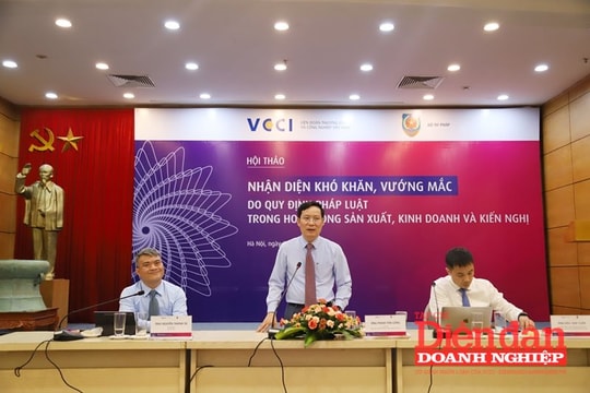 Pháp luật kinh doanh còn nhiều chồng chéo, chưa phù hợp