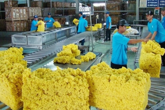 Cuộc chiến thuế quan toàn cầu: Cơ hội cho ngành công nghiệp cao su Việt Nam