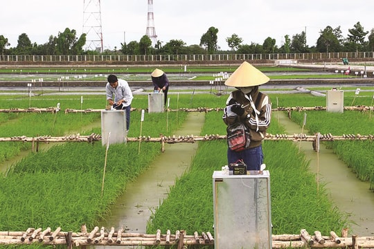 Thúc đẩy kinh tế tuần hoàn trong nông nghiệp: Lực đẩy từ cơ chế chính sách