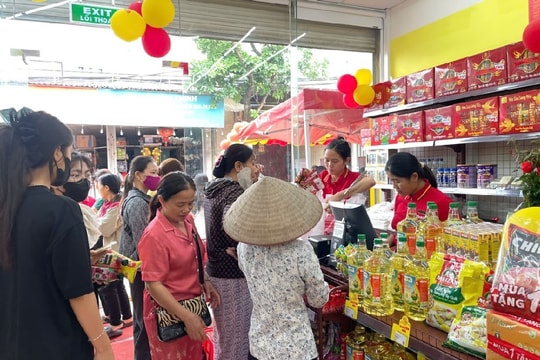 Doanh nghiệp bán lẻ lớn và cuộc đua chinh phục 60 triệu người tiêu dùng nông thôn