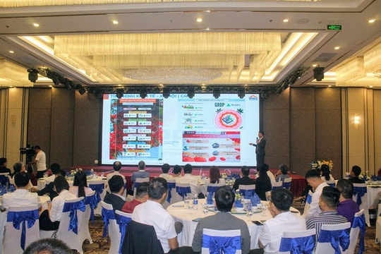 Bất động sản Hải Phòng 6 tháng đầu năm 2025: “Cơn sóng” cơ hội và thách thức