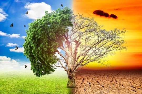 Việt Nam trên hành trình Net Zero