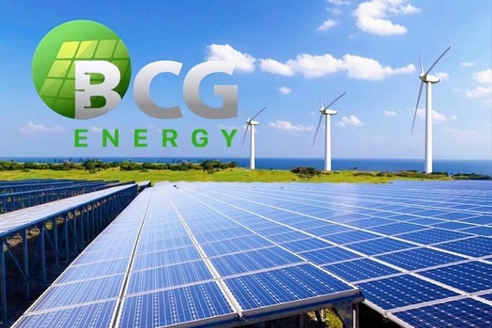 BCG Energy công bố báo cáo kiểm toán 2024, dự kiến tổ chức ĐHĐCĐ 2025 vào 14/8
