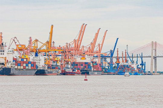 Doanh nghiệp ngành cảng biển: Lợi nhuận phân hóa trong 6 tháng đầu năm 2025