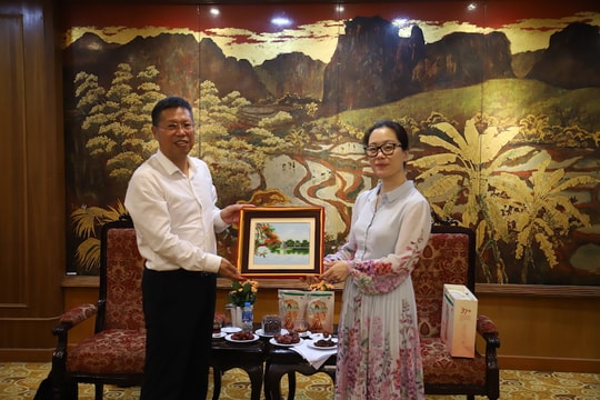 Khai mở tiềm năng hợp tác mới giữa doanh nghiệp Việt Nam - Tân Cương (Trung Quốc)