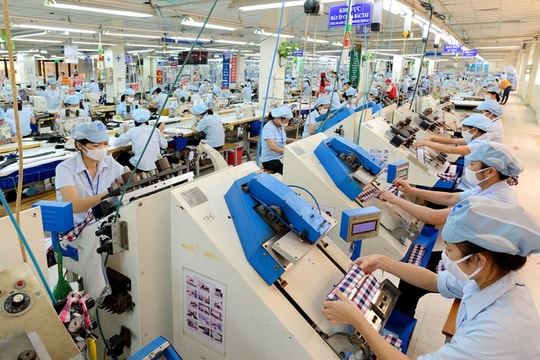 Doanh nghiệp thích ứng với thay đổi chính sách ESG