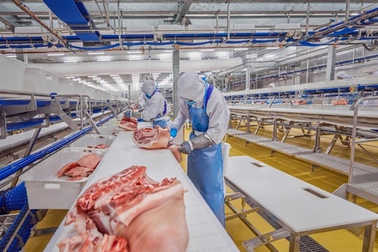 Cổ phiếu chăn nuôi còn dư địa tăng?