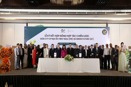 First Real: Doanh thu quý III tăng vượt bậc 205%, khẳng định đà phát triển ổn định