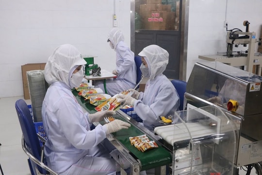 Giải pháp nào giúp doanh nghiệp “hấp thụ” các FTA?